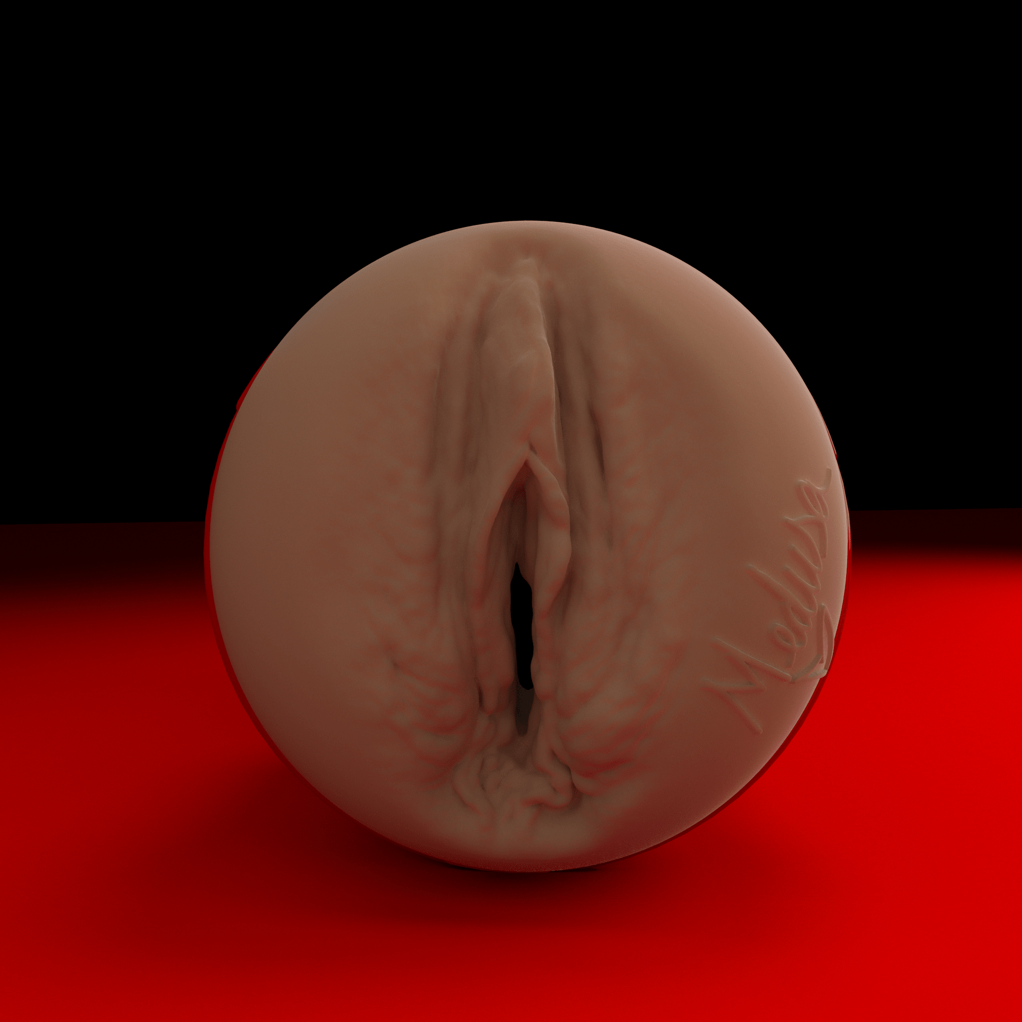 Erotic Medusa Ricky's Room Fleshlight Ricky's Room Exclusive (Lady) With Case Fleshlight